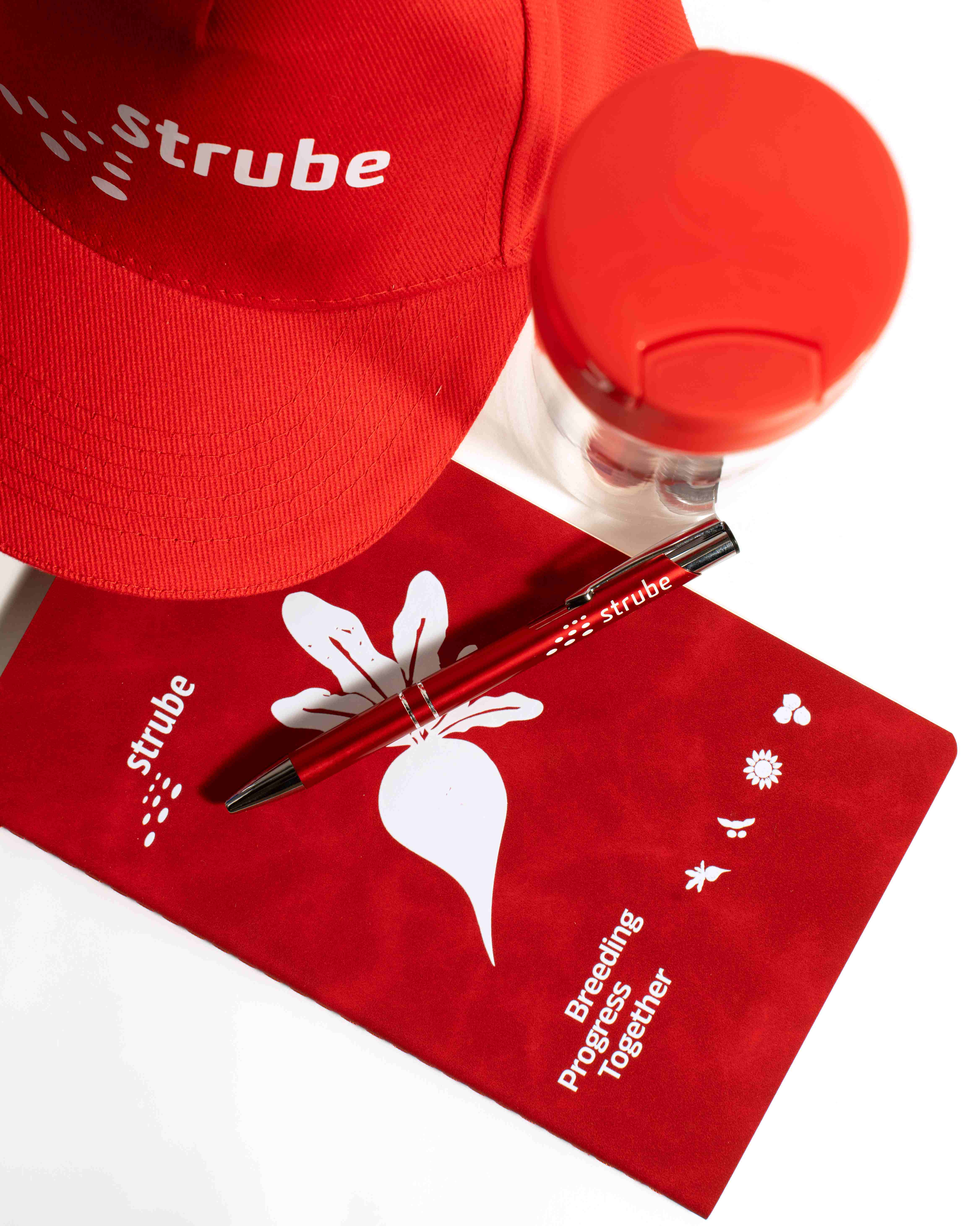 Наша команда